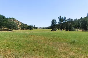 31341 Airline Hwy, Paicines, CA 95043 - Photo 80