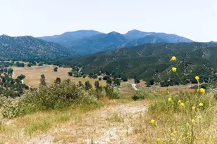 31341 Airline Hwy, Paicines, CA 95043 - Photo 76