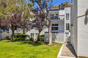 1033 Shell Blvd 7, Foster City, CA 94404 - Photo 4