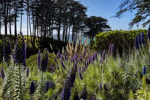 100 Seascape Resort Dr, Aptos, CA 95003 - Photo 16