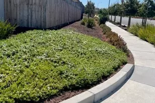2001 Wildflower Dr, Hollister, CA 95023 - Photo 2