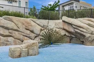 223 William Manly St 1, San Jose, CA 95136 - Photo 36