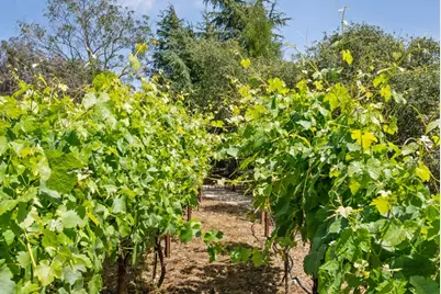 3929 Mainsail Pl, Soquel, CA 95073 - Photo 88