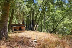 435 Hazel Brake, Boulder Creek, CA 95006 - Photo 46