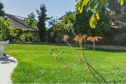 2859 Broken Oak Ct, San Jose, CA 95148 - Photo 38