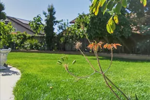 2859 Broken Oak Ct, San Jose, CA 95148 - Photo 38