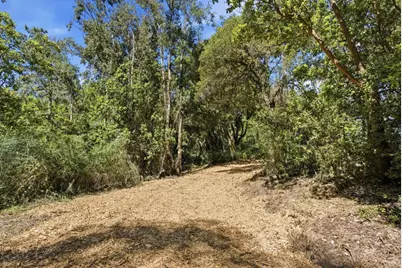 00000 Page Mill Rd, Palo Alto, CA 94304 - Photo 12