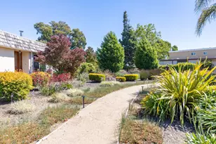 1338 Shoal Dr, San Mateo, CA 94404 - Photo 102