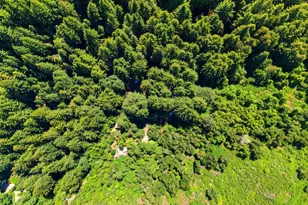 16730 Laurel Rd, Los Gatos, CA 95033 - Photo 42