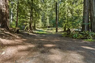 41 Back Rd, La Honda, CA 94020 - Photo 76