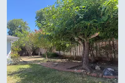 3160 Waverley St, Palo Alto, CA 94306 - Photo 4