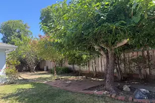 3160 Waverley St, Palo Alto, CA 94306 - Photo 4
