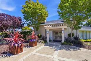 8 Calypso Ln, San Carlos, CA 94070 - Photo 46