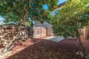 407 Raymond Ave, San Jose, CA 95128 - Photo 6