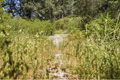 0 Chelsey Pl, Scotts Valley, CA 95066 - Photo 26