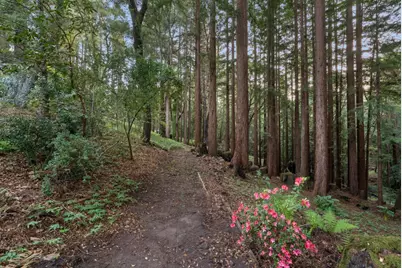 113 Lauren Cir, Scotts Valley, CA 95066 - Photo 148