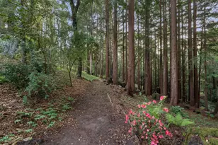 113 Lauren Cir, Scotts Valley, CA 95066 - Photo 148