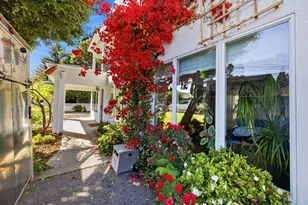 69 Nueva Ave, Redwood City, CA 94061 - Photo 6