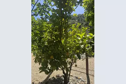 3960 Ballantree Ln, Aromas, CA 95004 - Photo 10