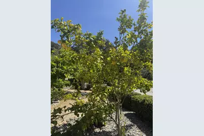 3960 Ballantree Ln, Aromas, CA 95004 - Photo 48