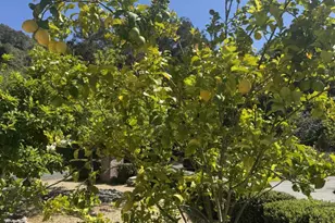 3960 Ballantree Ln, Aromas, CA 95004 - Photo 48
