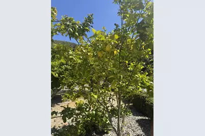 3960 Ballantree Ln, Aromas, CA 95004 - Photo 8