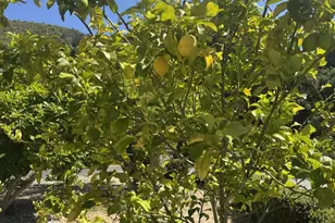 3960 Ballantree Ln, Aromas, CA 95004 - Photo 8