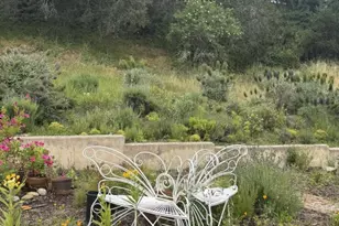 3960 Ballantree Ln, Aromas, CA 95004 - Photo 14