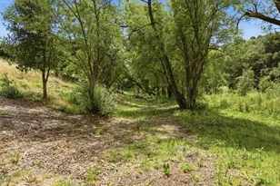 1584 Rocks Rd, San Juan Bautista, CA 95045 - Photo 68