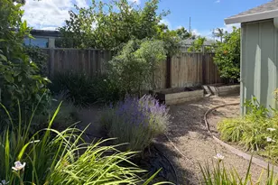 585 36th Ave, Santa Cruz, CA 95062 - Photo 34
