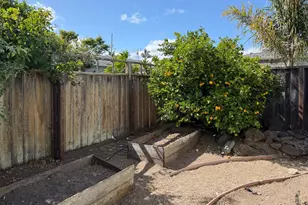 585 36th Ave, Santa Cruz, CA 95062 - Photo 36
