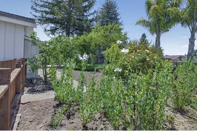 356 Chilverton St, Santa Cruz, CA 95062 - Photo 44