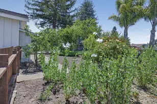 356 Chilverton St, Santa Cruz, CA 95062 - Photo 44