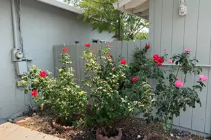 1281 Traynor Rd, Concord, CA 94520 - Photo 34
