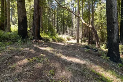 Lot 17 Branson Rnch, Boulder Creek, CA 95006 - Photo 8