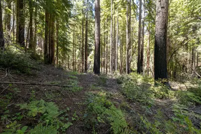Lot 17 Branson Rnch, Boulder Creek, CA 95006 - Photo 12