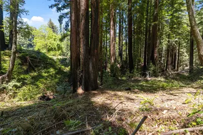 Lot 17 Branson Rnch, Boulder Creek, CA 95006 - Photo 10