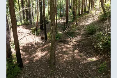Lot 17 Branson Rnch, Boulder Creek, CA 95006 - Photo 36