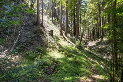 Lot 17 Branson Rnch, Boulder Creek, CA 95006 - Photo 16