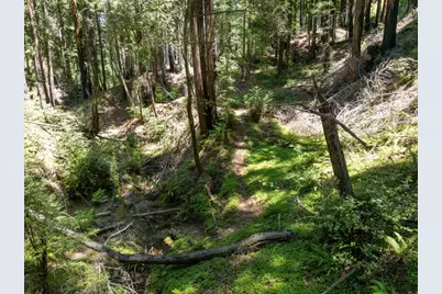 Lot 17 Branson Rnch, Boulder Creek, CA 95006 - Photo 34