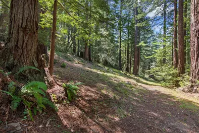 0000 Native Sons Rd, Woodside, CA 94062 - Photo 8