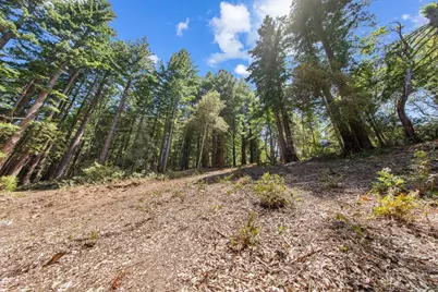 0000 Native Sons Rd, Woodside, CA 94062 - Photo 24