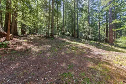 0000 Native Sons Rd, Woodside, CA 94062 - Photo 12