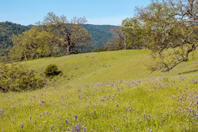 16 Long Ridge Trail (Lot 233), Carmel, CA 93923 - Photo 10