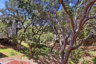 1255 North Rd, Belmont, CA 94002 - Photo 40