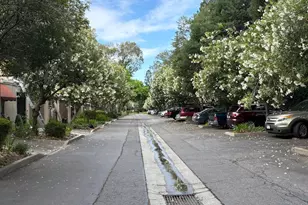 449 Alberto Way 131, Los Gatos, CA 95032 - Photo 24