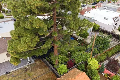 231 Barclay Ave, Millbrae, CA 94030 - Photo 60