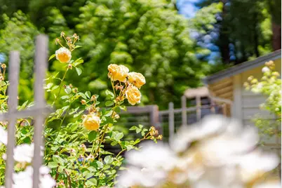106 Hidden Dr, Scotts Valley, CA 95066 - Photo 52