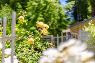 106 Hidden Dr, Scotts Valley, CA 95066 - Photo 52