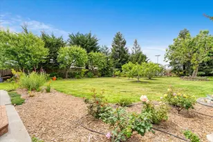 5 Delaney Ave, Watsonville, CA 95076 - Photo 26